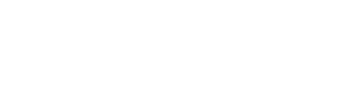 A Link logo before