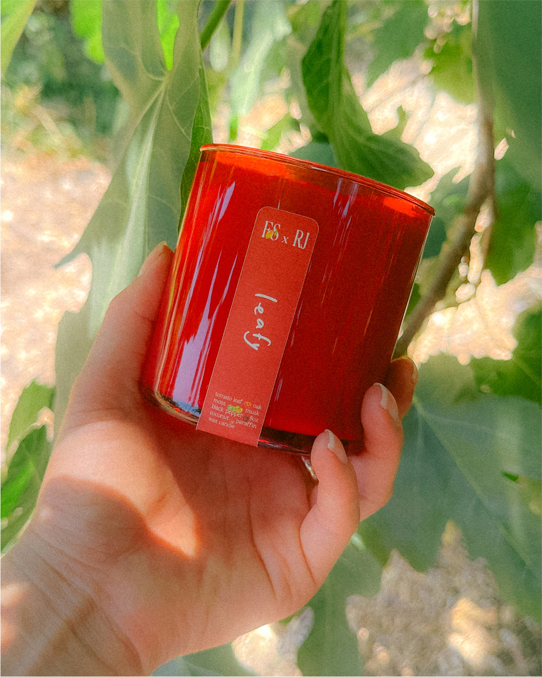 A hand holding a red Fruit Stand candle jar among green leaves